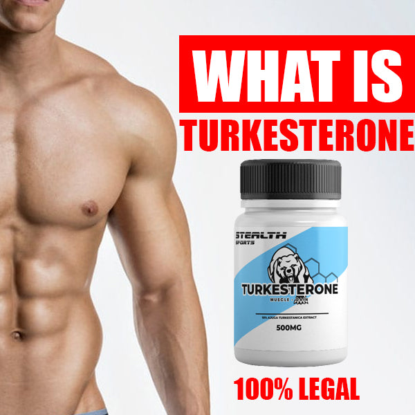 Turkesterone - What is it and why do YOU need it? | Supplement Warehouse
