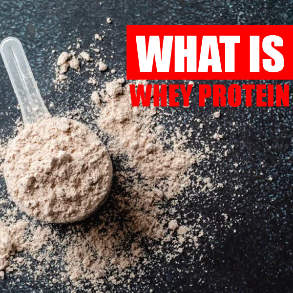 What is Whey Protein Powder? | Supplement Warehouse